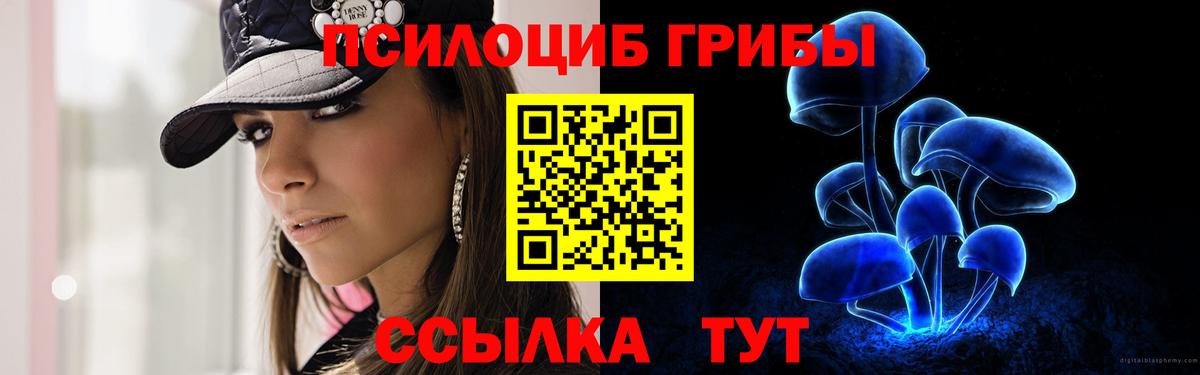 Галлюциногенные грибы MAGIC MUSHROOMS  Вход с VPN  Салехард 